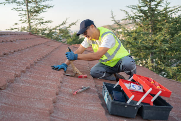 Best Roof Maintenance Services  in Asotin, WA
